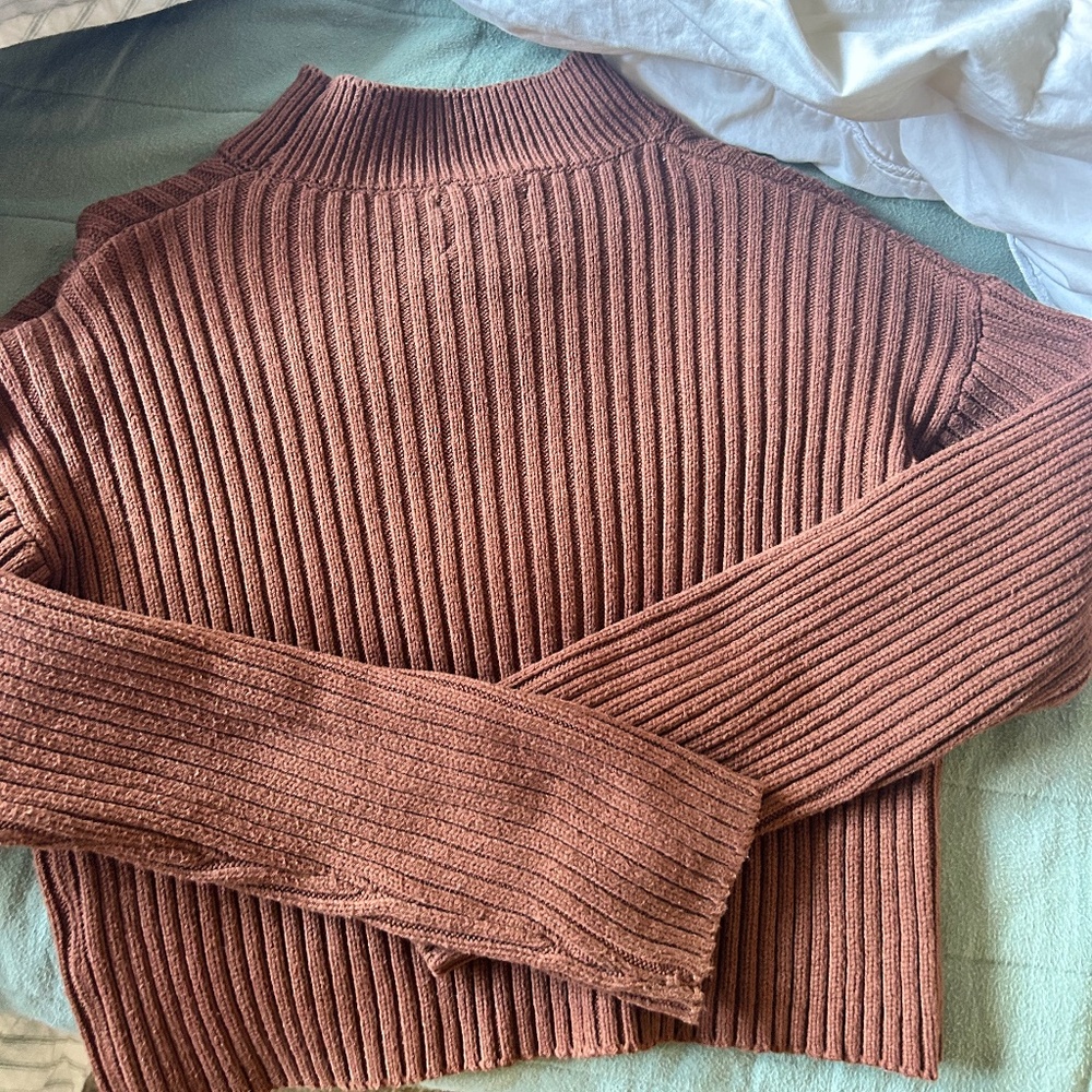 Zara cropped sweater (size small)